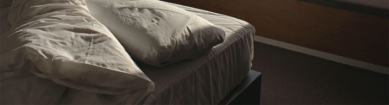 Bedwantsen